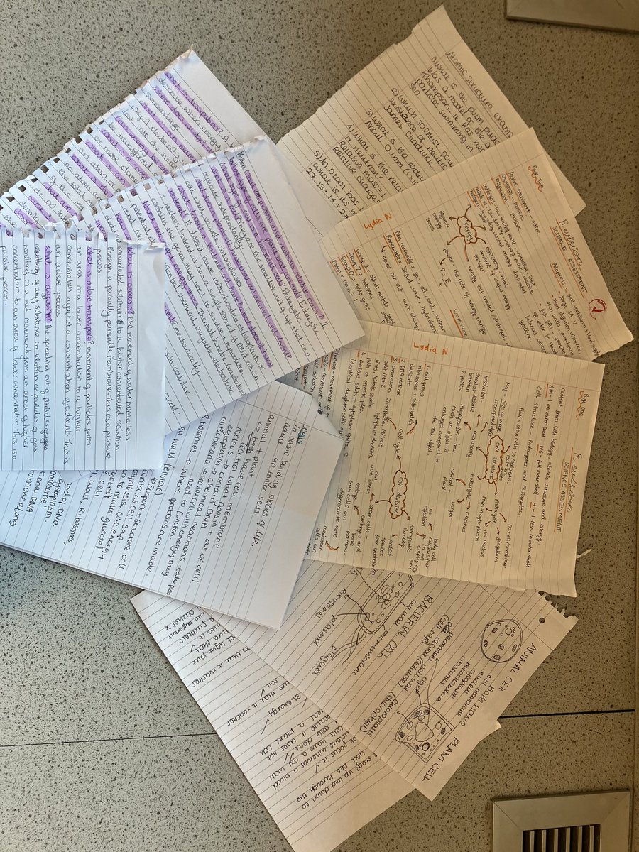 Wath_Science's tweet image. Super revision for Y9 ICA3 by Lydia N, Neve H, Miley H and Sophie P! #worldclasslearning @WathAcademy