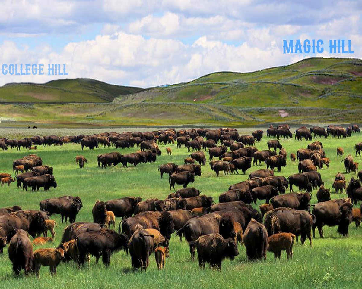 Oh give me a #home where the buffalo roam
Where the deer and the antelope play
Where seldom is heard a discouraging word
And the skies are not cloudy all day.

The Magic Hill Homeowner Alliance, expressing and protecting the interests of resident stakeholders who own their homes.
