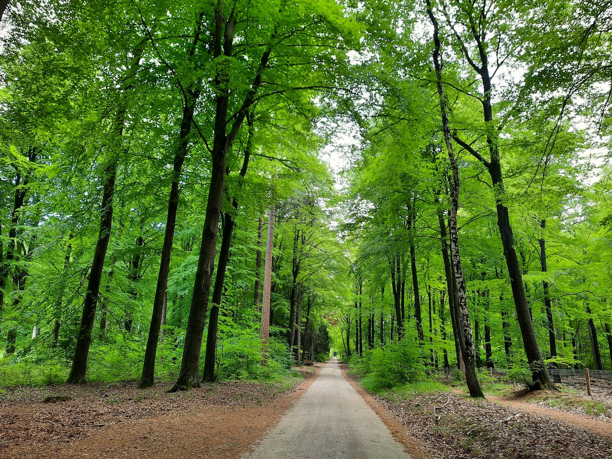 MadelonvS's tweet photo. De juiste weg.... is altijd in Epe te vinden <3 https://t.co/RBXZzMrMTR