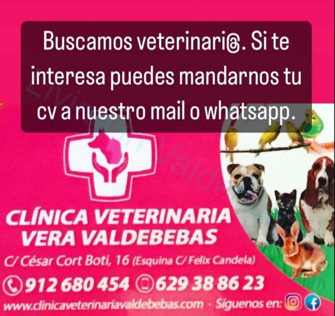 Clinica Veterinaria Vera Valdebebas (@clinicavetvera) on Twitter photo 