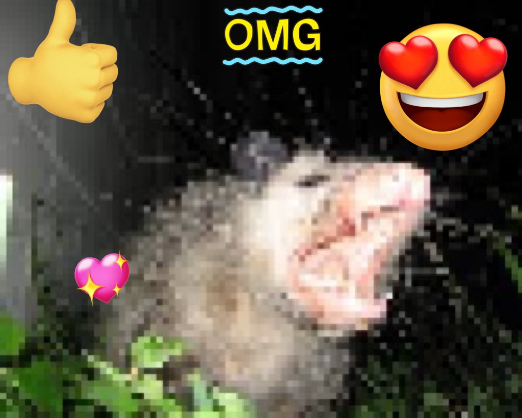 <a href="/RoshuutoDouzen/">Douzen Roshuuto</a> THIS IS OUR FAMILY #cat , PRINCESS 😻😻😻😻😻😻😻😻😻😻😻😻😊😊😊😊😊😊😊🙏🙏🙏🙏🙏🙏🙏🙏🙏😄😄😄😄😄😁😁😁#adorable