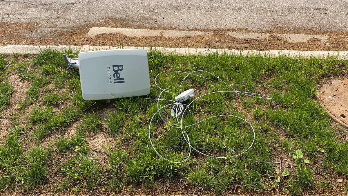 Travis Birch tweet media