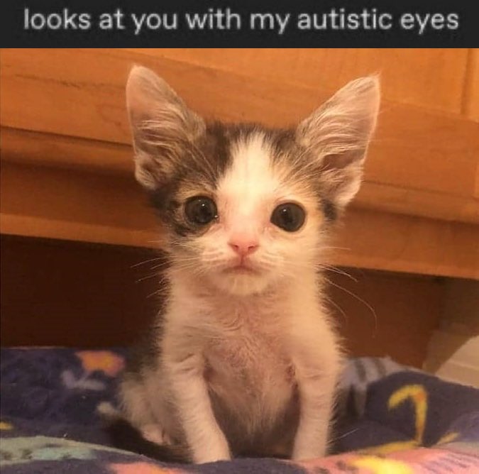 every time you’re mean to me, this is who you’re being mean to