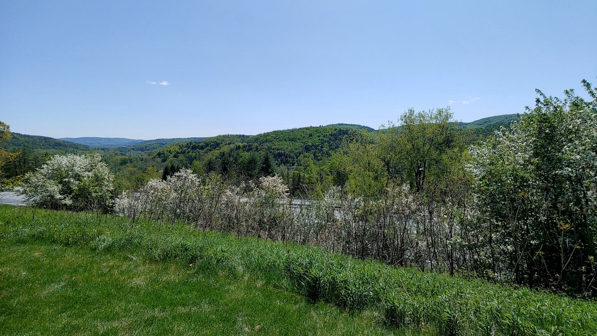 Nbail2013n's tweet photo. Ahh... spring at last! #SundayFunday #sundayvibes #SundayMotivation https://t.co/yQpHisfM6o