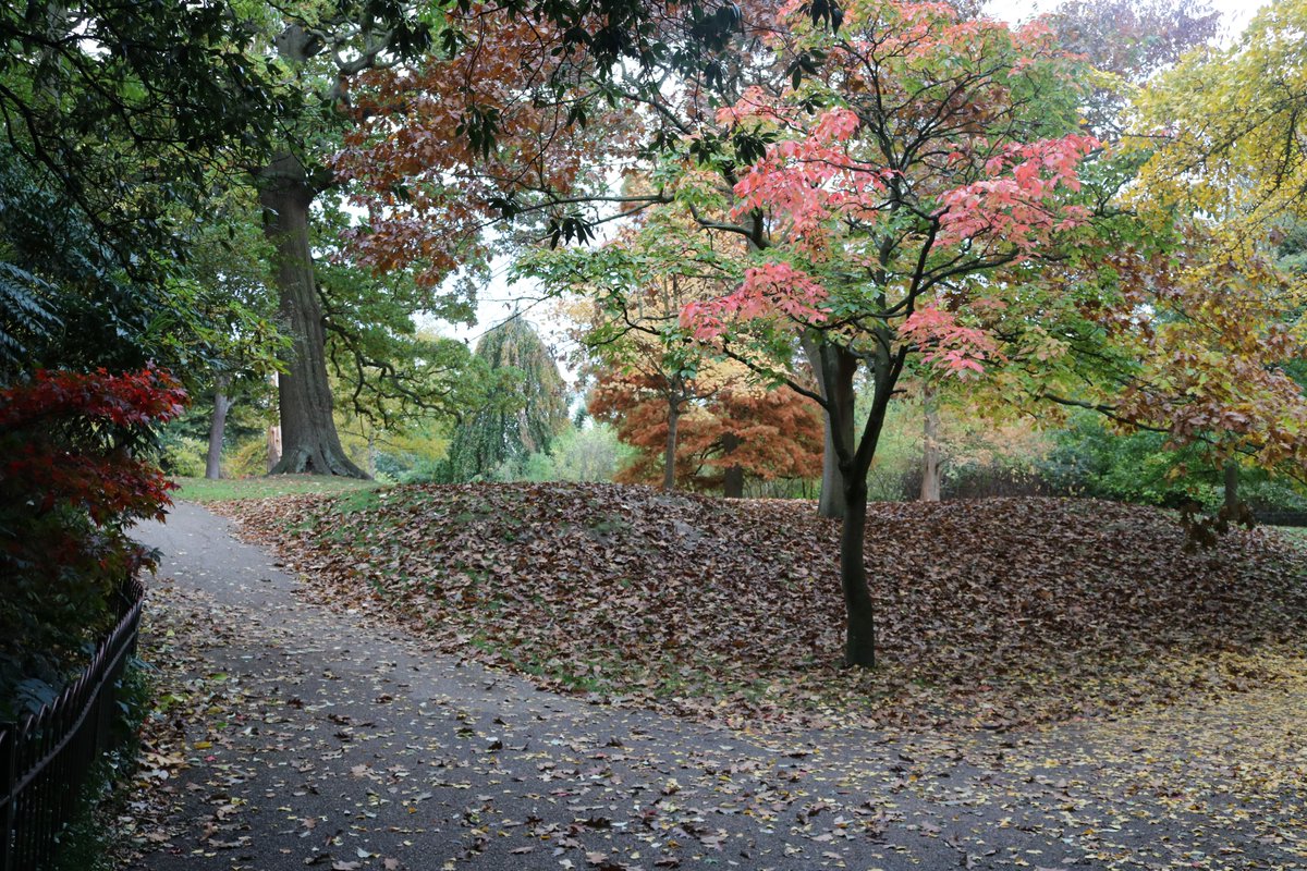 Hatty Uwanogho tweet media