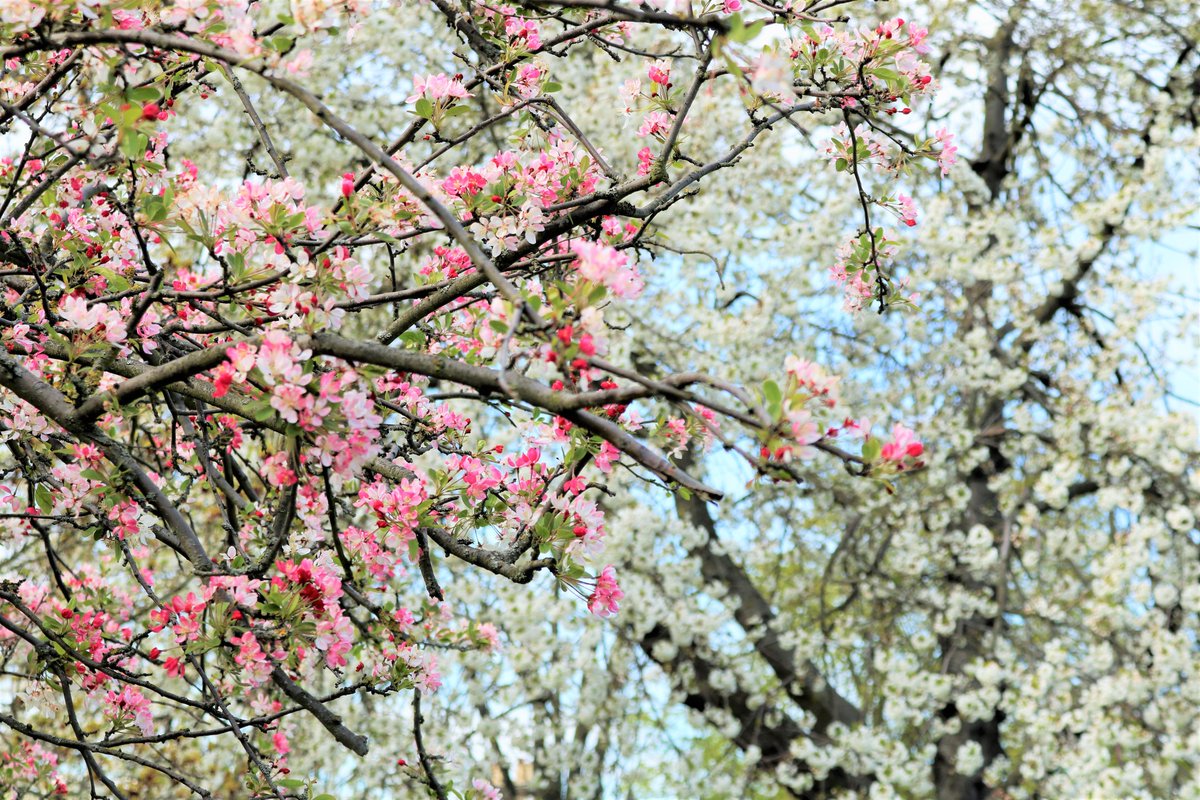 Hatty Uwanogho tweet media