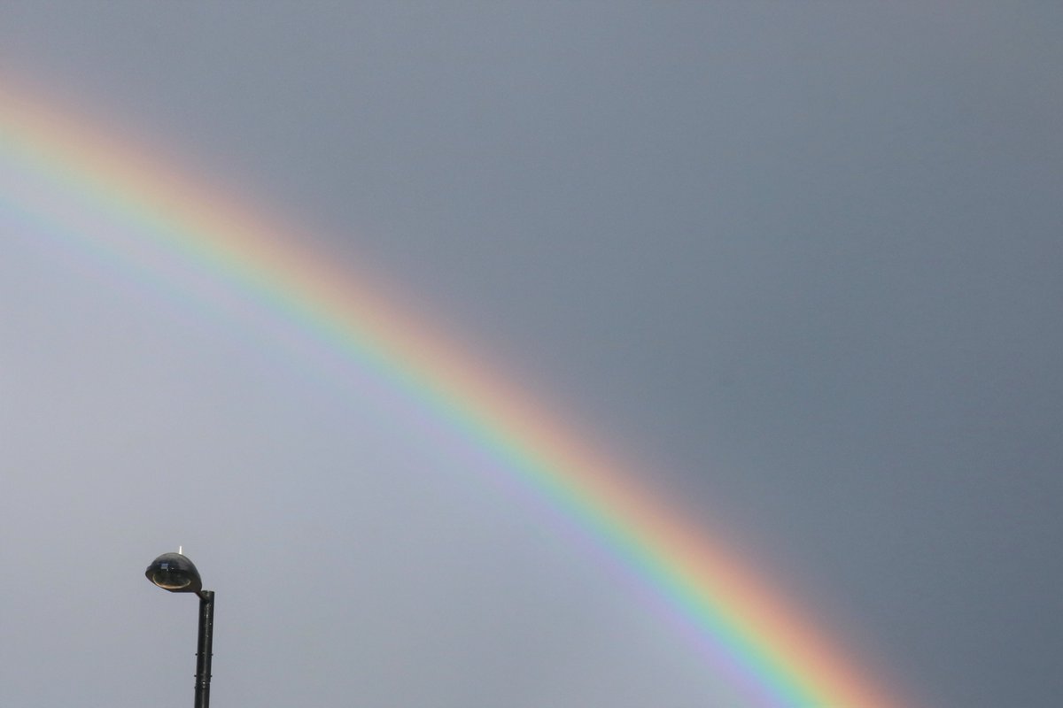 Hatty Uwanogho tweet media