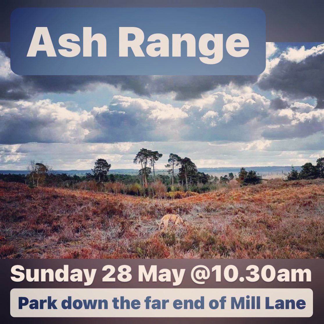 Surrey Sighthound Walking Group’s next walk is on Sunday 28 May at Ash Range. 10.30am set off. Full details on Instagram instagram.com/p/CshMDyXKsZi/…