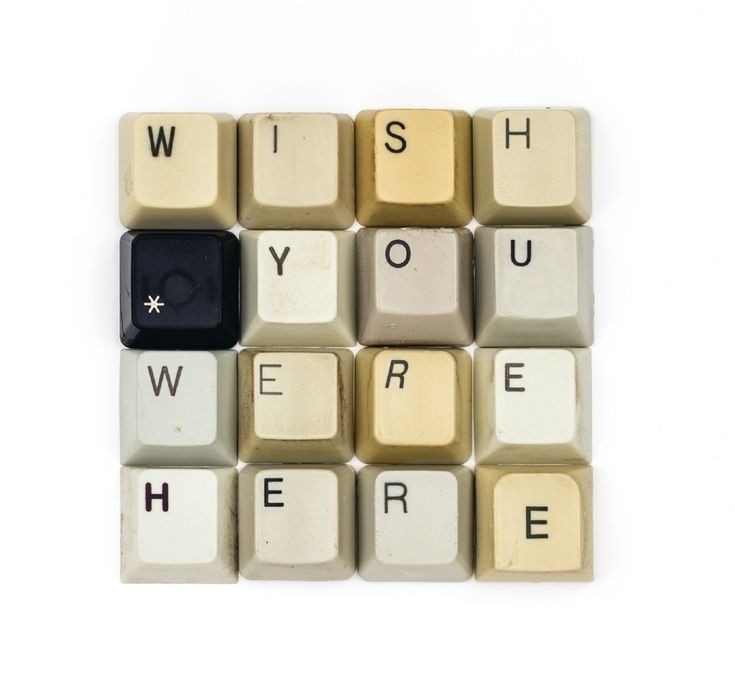 ₍ ᐢ..ᐢ ₎ tweet media