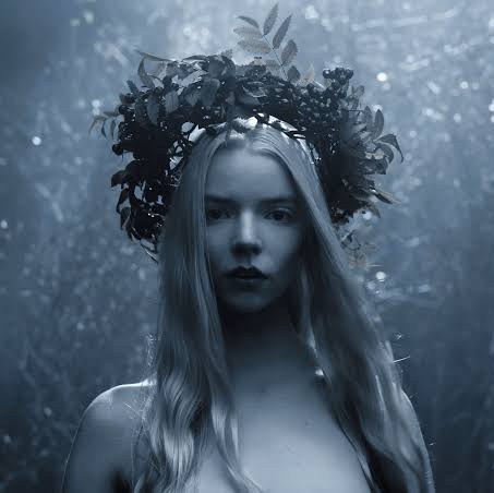 Lord Zowl tweet media