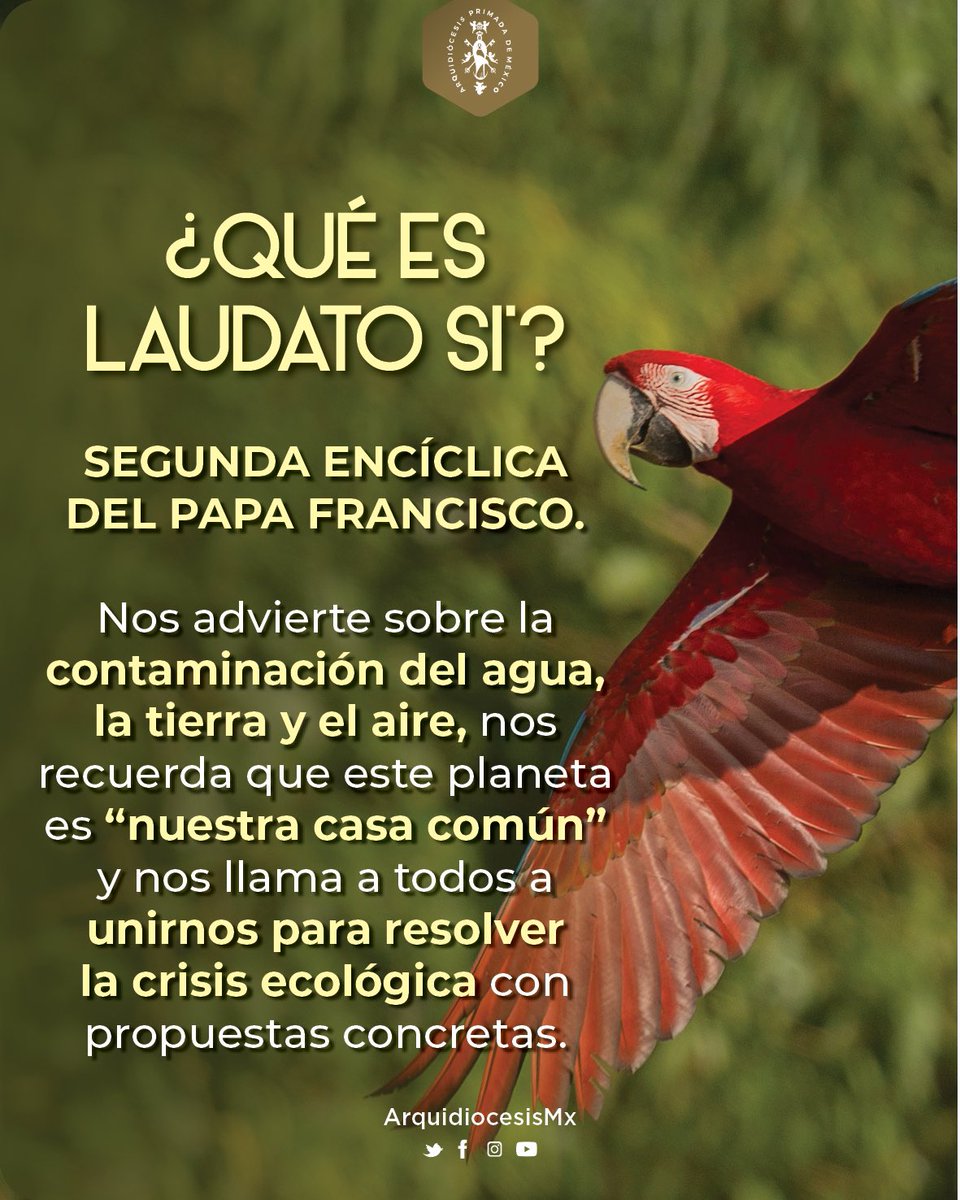 ArquidiocesisMx's tweet photo. Inicia la Semana Laudato Si’… ¿estás listo para vivirla?

“El desafío urgente de proteger nuestra casa común incluye la preocupación de unir a toda la familia humana en la búsqueda de un desarrollo sostenible e integral, pues sabemos que las cosas pueden cambiar”, nos dice el Papa Francisco.

Te invitamos a conocer a detalle de qué trata esta encíclica y cómo aplicarla a nuestra vida: 
https://t.co/ZWG2lfxVnA
