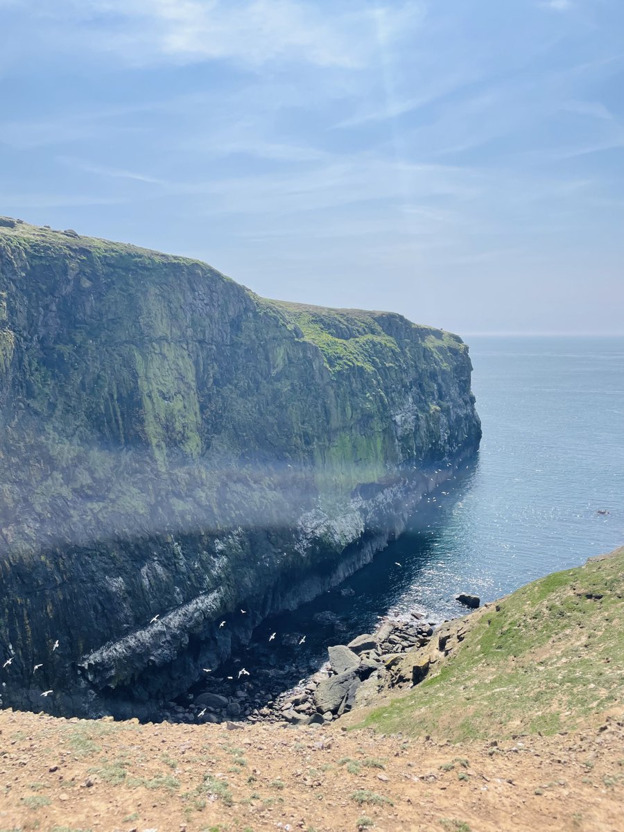 EcologistDan's tweet photo. The views and colours were incredible. #skomer https://t.co/jXdLBbUZdg