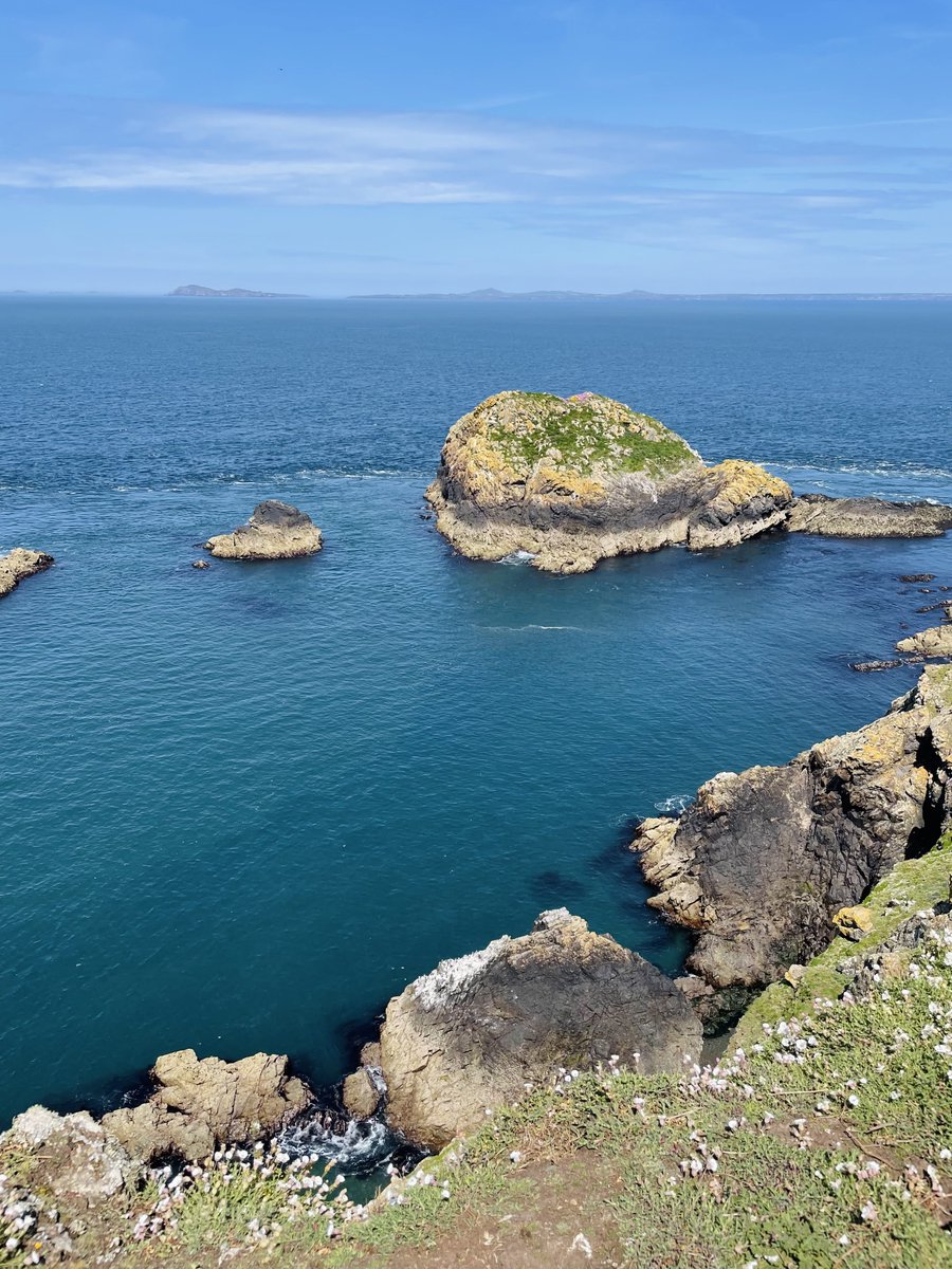 EcologistDan's tweet photo. The views and colours were incredible. #skomer https://t.co/jXdLBbUZdg