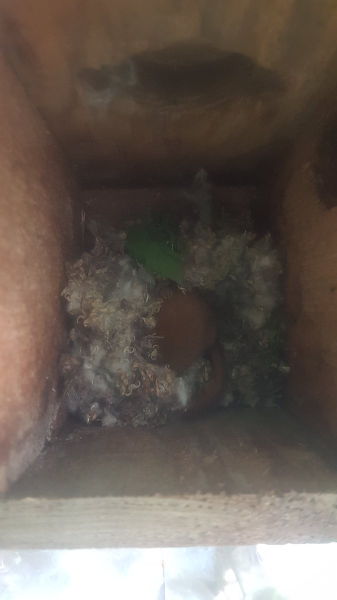 Lorna Griffiths tweet media