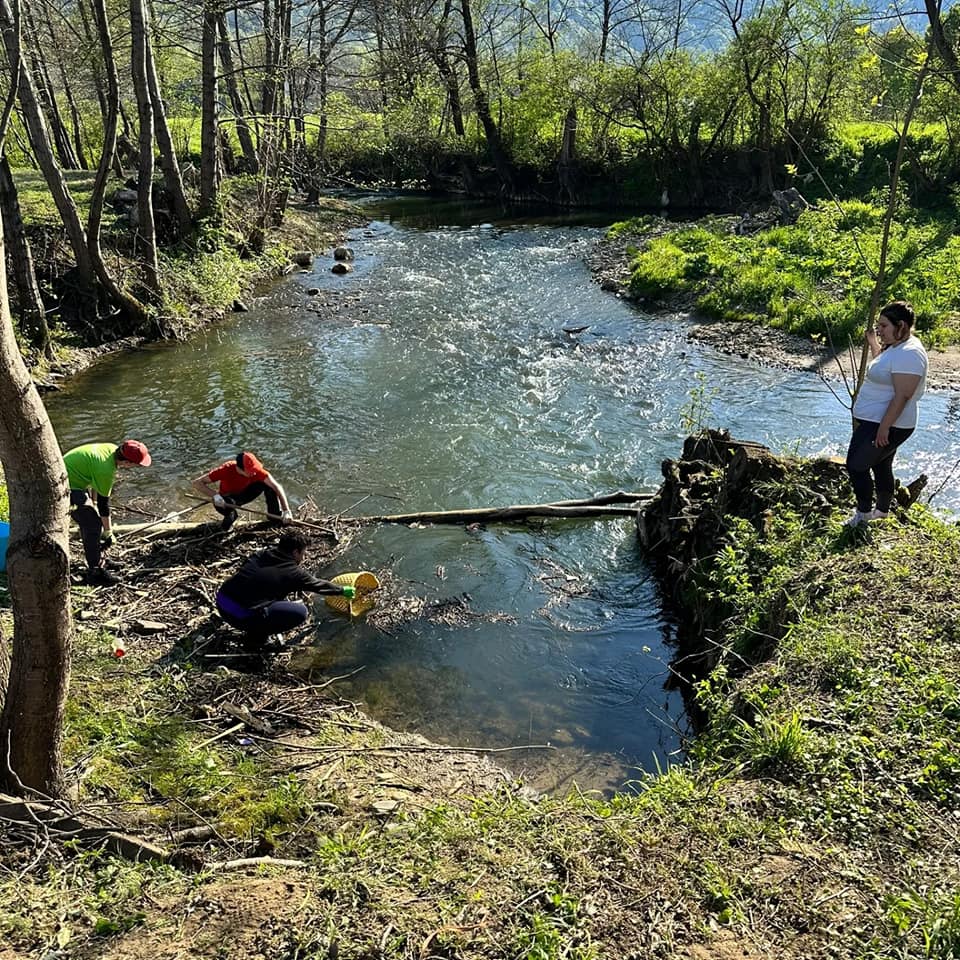 ymcabaiamare's tweet photo. Luna aceasta am pregătit terenul pentru viitoarea tabără. Am ecologizat albia râului, am toaletat copacii și vegetația existentă, am curățat terenul de frunze, crengi și deșeuri purtate de ape. 

Mai mult decât atât, ne-am distrat, am creat conexiuni noi și am lucrat în echipă. https://t.co/OCj5jPa98S