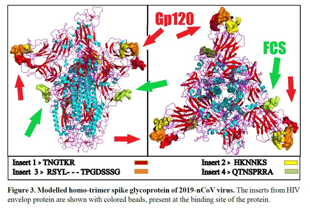 AlexBlueBirdJailAccount tweet media