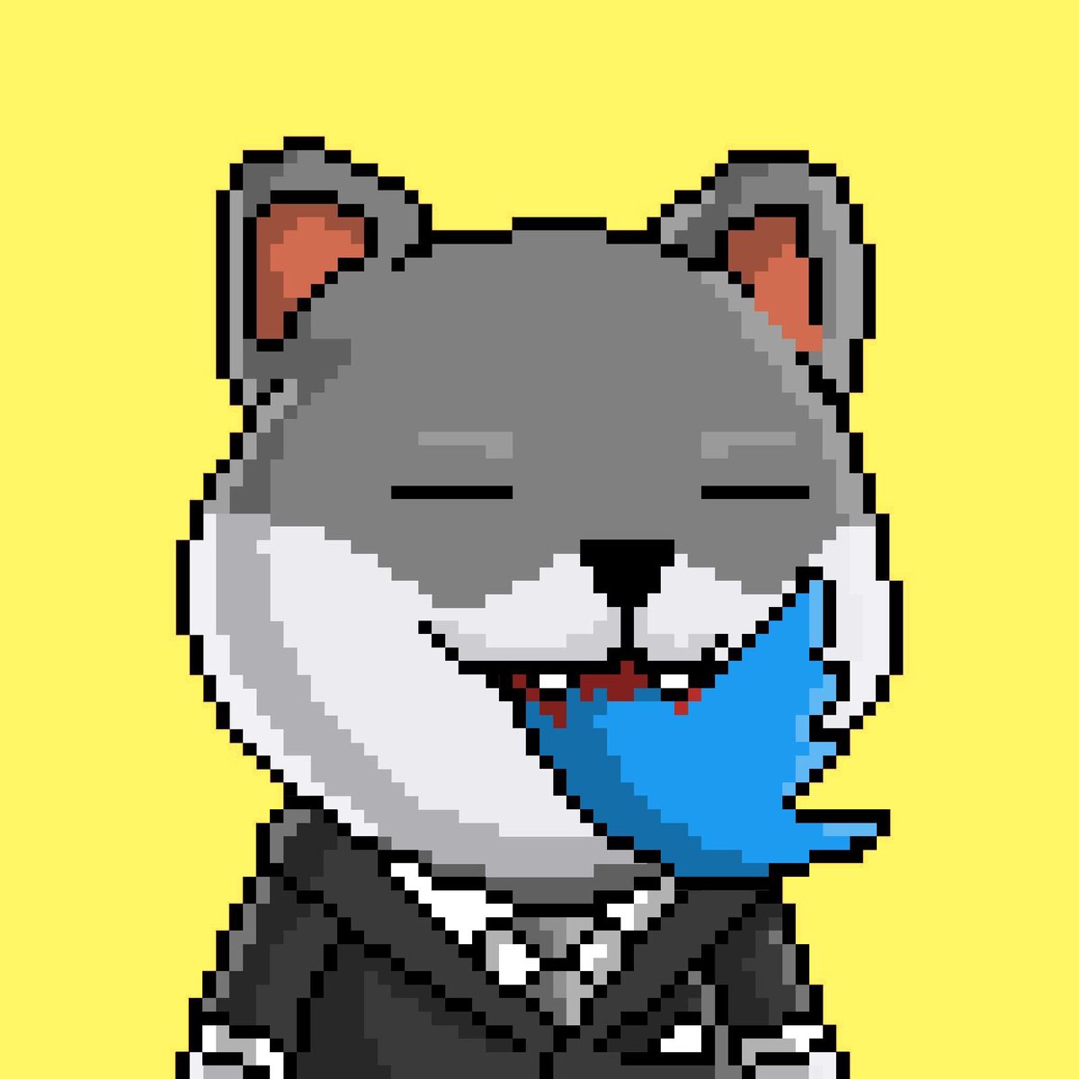 Ordichiens ドージェ 🔆 tweet media