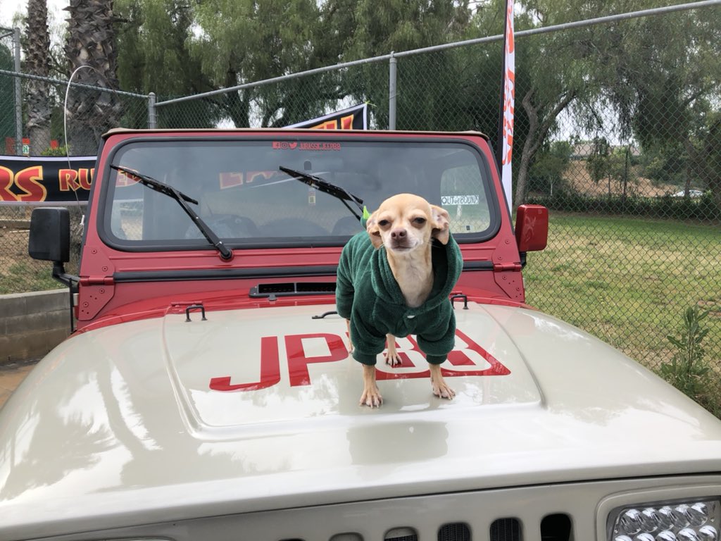Just_Ask_Paul's tweet photo. 🚗 Hanging out with the Star Car Central  group on display today at the Benedict Castle Concourse Car show until 4 pm.  Come out &amp; say ‘HI’! 🚗 
#carshow #carsofinstagram #car #carporn #carswithoutlimits #carlifestyle #carspotting #carphotography #classiccars #jpmp #starcars https://t.co/uu8tBpCUe9