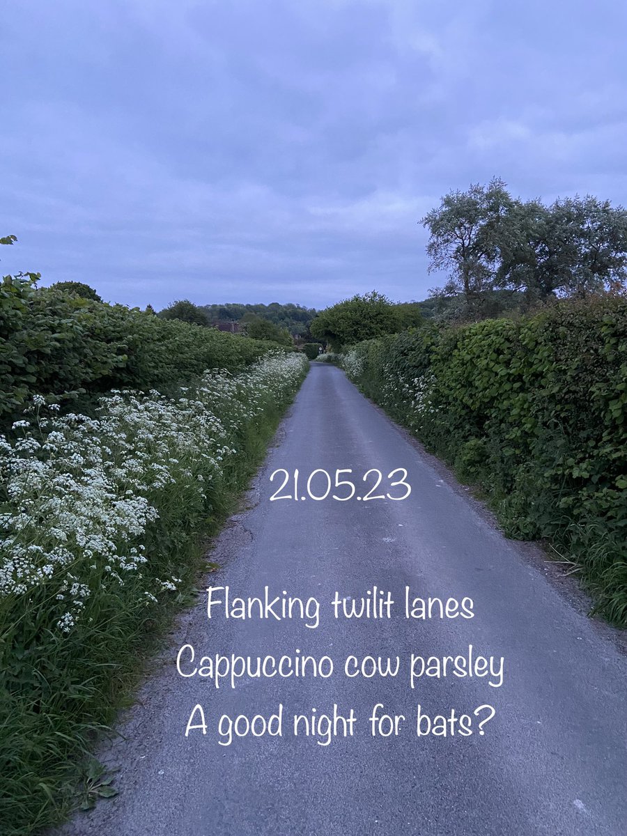 #haiku #3lines #amwriting #micropoetry #poetry #poetrylovers #writers #writerscommunity #writersoftwitter #WritingCommunity