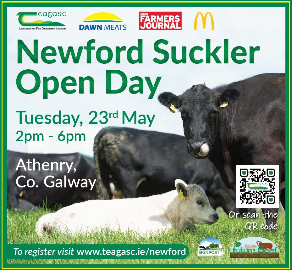 TeagascBeef's tweet photo. Newford Suckler Open Day takes place this Tuesday, 23 May in Athenry, Co. Galway from 2pm - 6pm. Live demonstrations on the day from @TeagascSignpost  and #Grass10 teams. 
@Teagasc @dawnmeatsgroup @farmersjournal https://t.co/3rvEJf6KiU