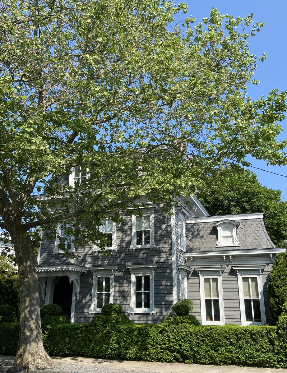 The afternoon dappled light in Sag Harbor Village is beautiful #sagharbor #afternoon #light #hamptons