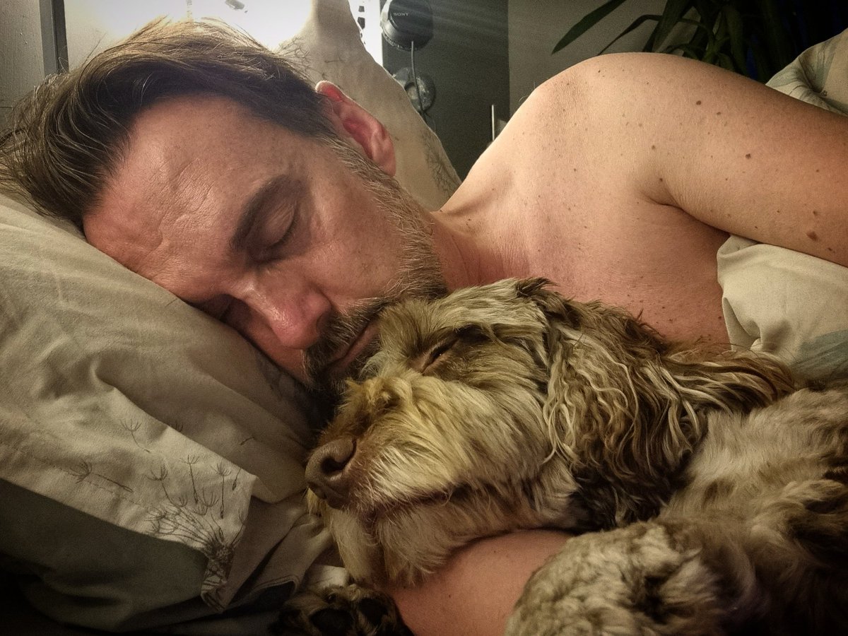 Timsley's tweet image. She's not feeling her best today...! #ISAIDIT 🙄 #POSTOPERATION #POSTSURGERY #EAGLESYNDROME #BOSLEYJOHNBOSLEY #TIMMYALEXISCARRINGTONWARD #LEXANDBOZONTHEHILL