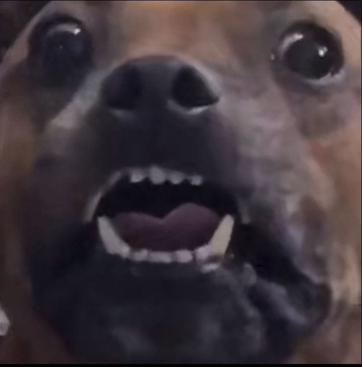 MOVE YOUR FUCKING ASSES DOORS ARE AT 7 LET’S RUN IT