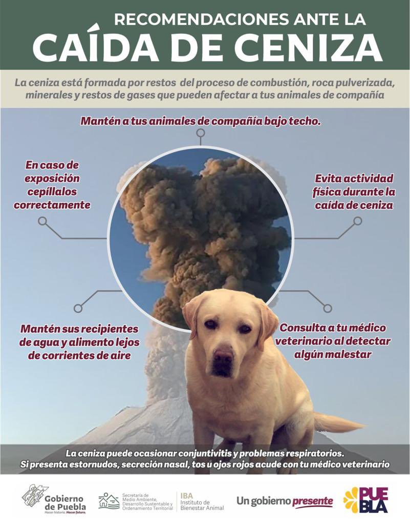 Por favor, ante la intensa actividad del volcán #Popocatepetl 🌋 te pedimos atender ÚNICAMENTE información de fuentes oficiales. 
En el <a href="/Gob_Puebla/">Gobierno de Puebla</a>, todas las dependencias nos mantemos  permanentemente alerta y brindando la atención y comunicación oportuna.