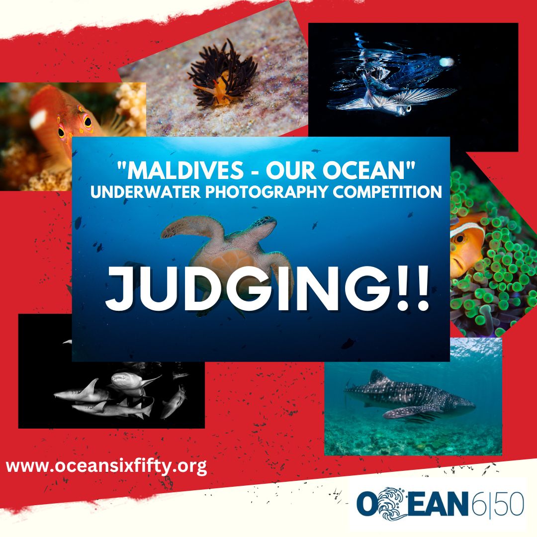 Judging !!! We got a lot of submissions and it's very interesting! 

<a href="/visitmaldives/">Visit Maldives</a> <a href="/SwissD1VER/">Swiss D1VER Watch</a> <a href="/fourth_element/">fourth element</a> <a href="/ShafrazNaeem/">🇲🇻  Shaff  🇨🇭</a>