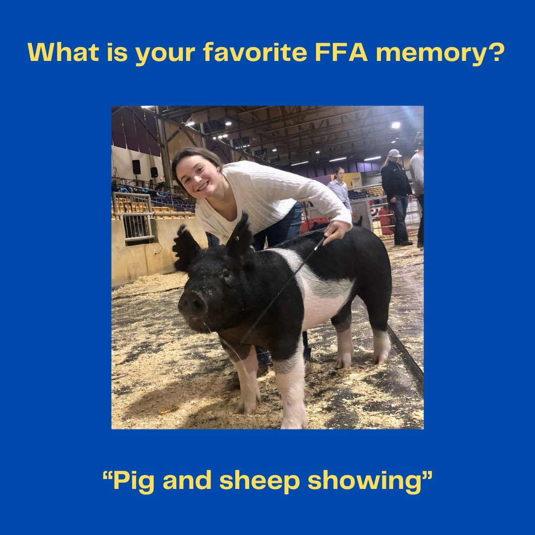 Stewarts Creek FFA tweet media