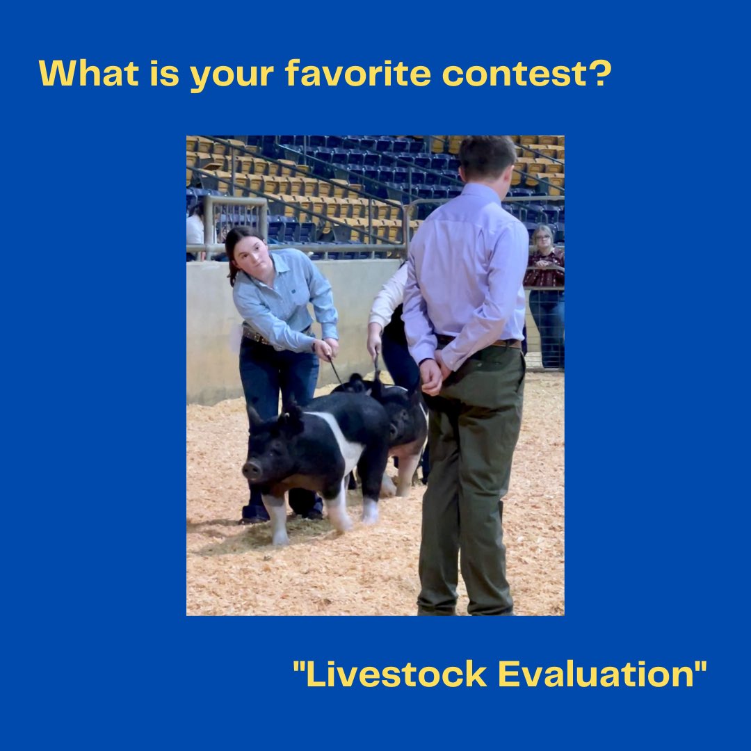 Stewarts Creek FFA tweet media