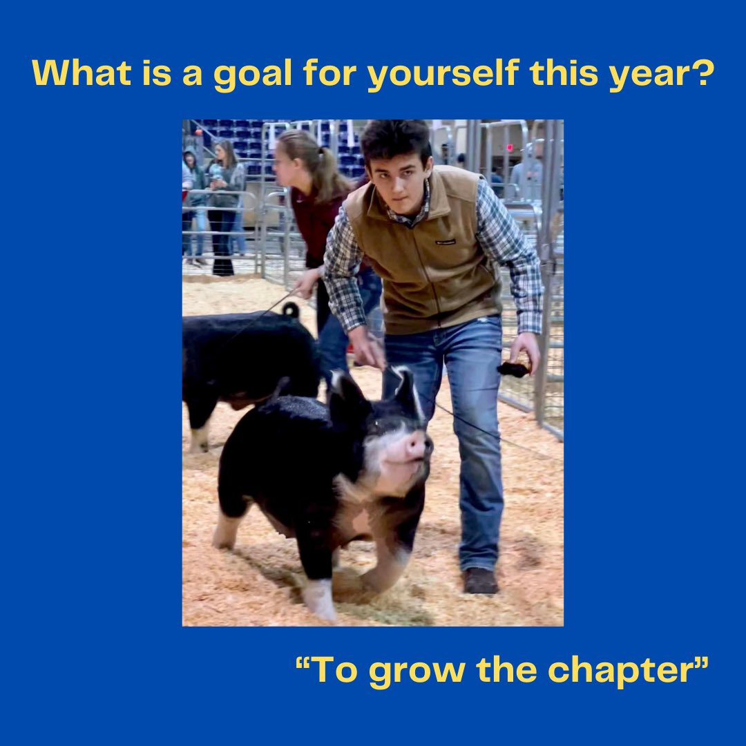 Stewarts Creek FFA tweet media