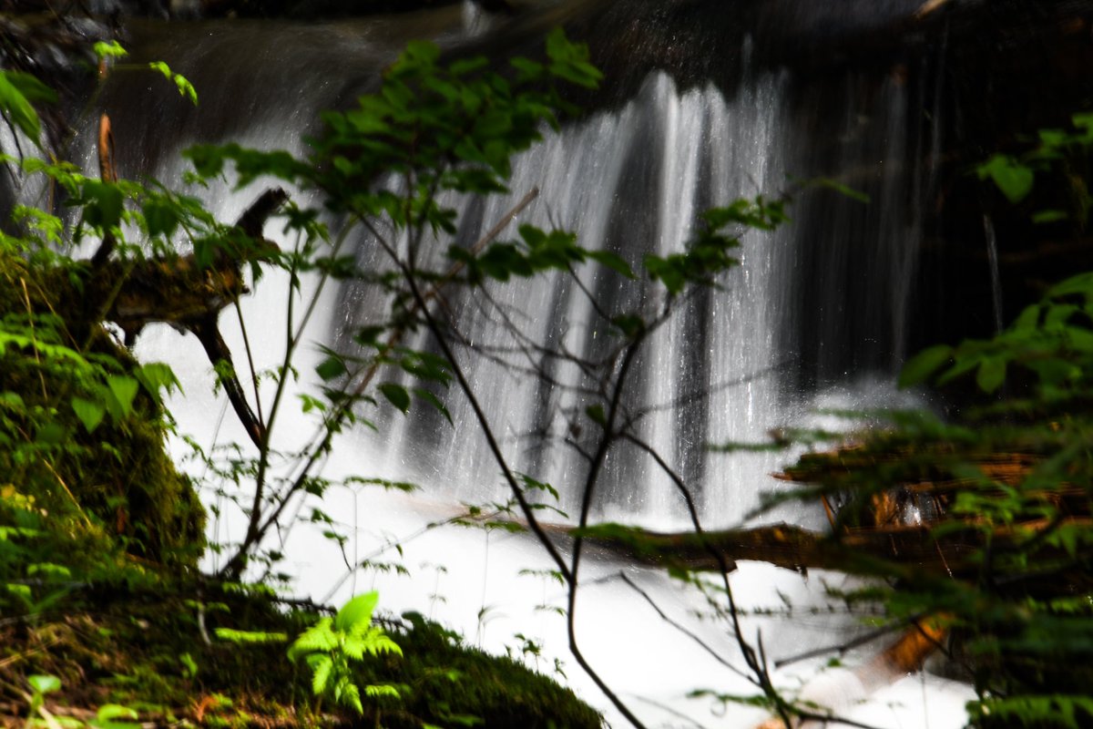 Weekends with family waterfall hunting…just the best.