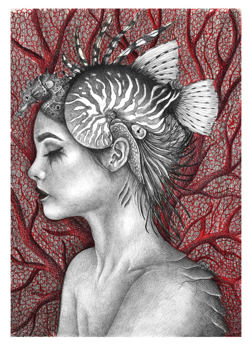 Worth 🃏 tweet media