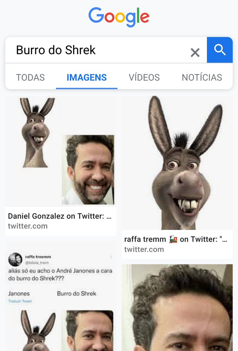 Raffa Treem 🚂 on X: aliás só eu acho o André Janones a cara do burro do  Shrek??? Janones Burro do Shrek  / X