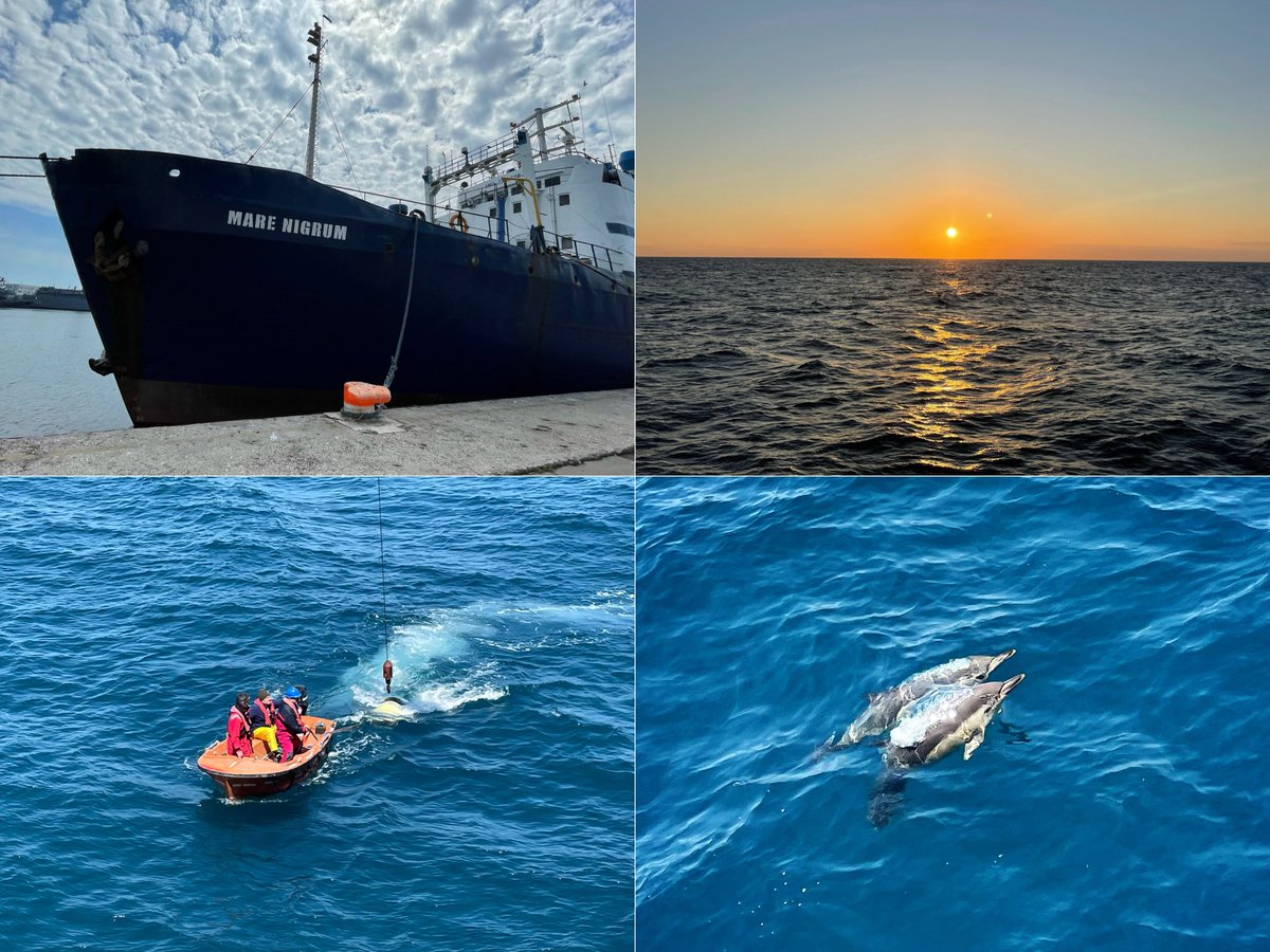 Dalin JIANG tweet media