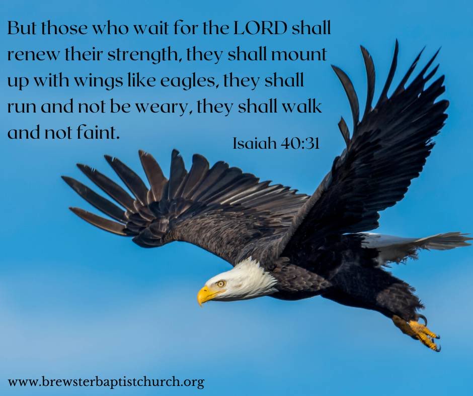 ✝️328✝️ @1NCconservative
@ICU1010
@ron_lynaugh
@TheCrossSavedMe
@DreamMachine65 @tvc1five
@Cop4x4tv
@Paul_at_PSG
@TwitCesar007
@tweetie_bird888 @ConnieR39829402
@Mistwold10
@NeferKa2
@MichaelT_47
@prolifichosky
@LeeAnn59705607
@Calia26 
@Loveof1776 
@VINNYSMOM86 
@JesusAcceptsYou