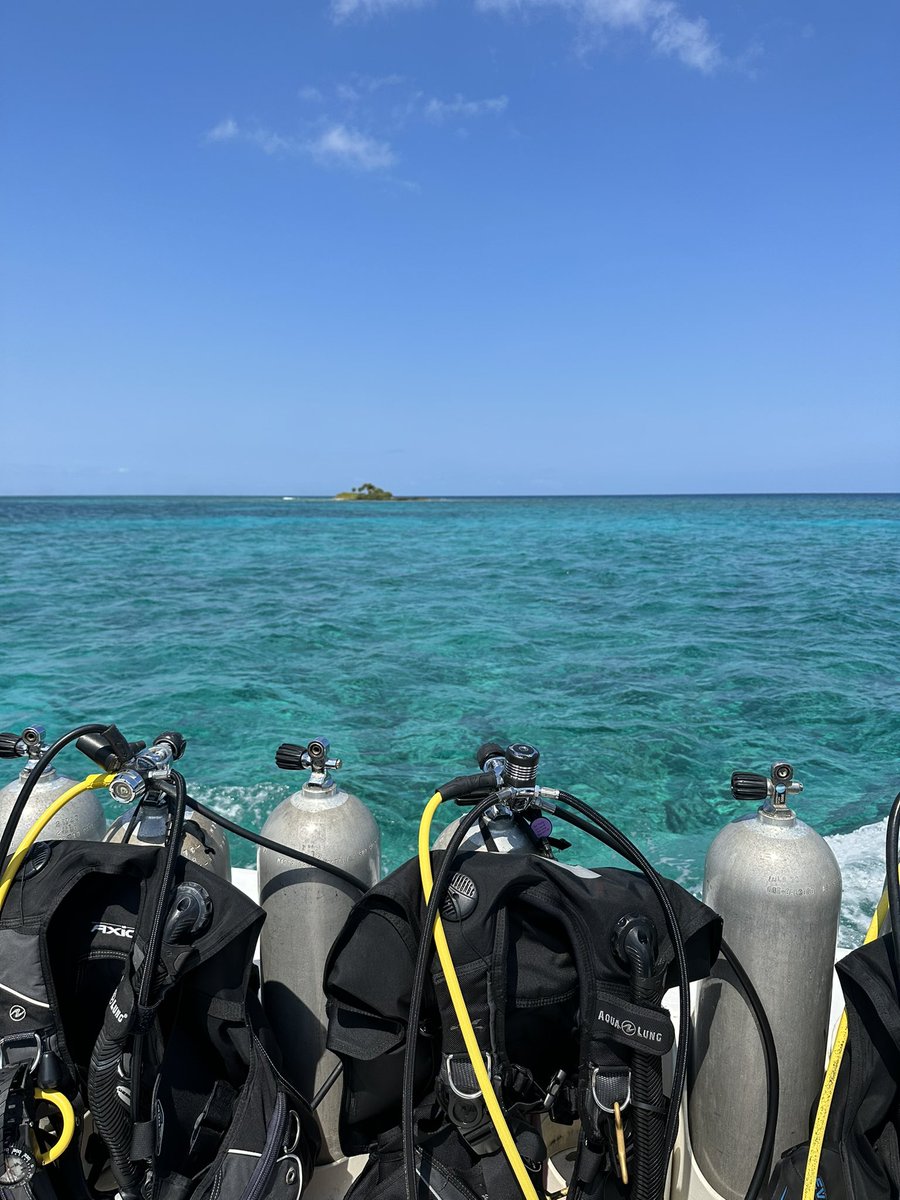 zoemunson_'s tweet photo. Grateful to have completed the marine conservation internship at the Whale Shark and Oceanic Research Centre in Útila, Honduras 🇭🇳 38 dives later, in love with the island and the amazing marine life you can find in this little area of the Caribbean 🐠 🐙 🦈 🦀 �� 🐡 https://t.co/IOoge6T2Sq