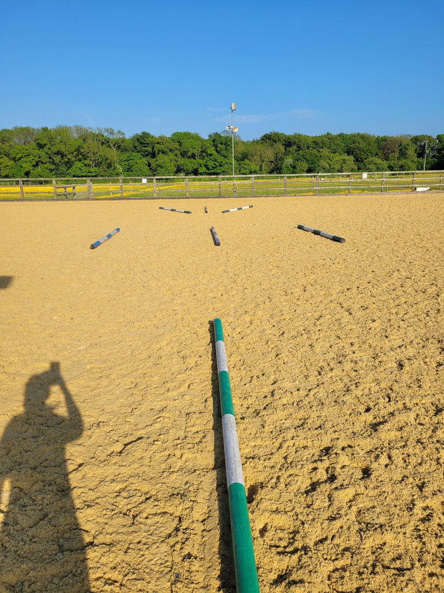 petitequestrian's tweet image. A little bit of everything with just 7 poles! 🐴 The canter poles in the middle made two perfect trot strides. #PoleWorkInspo #PoleWorkForHorses
