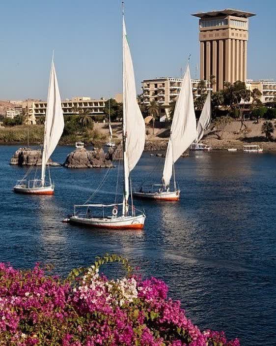 The busy water ways of the Nile. Experience sailing the Nile with us!

#travel
#ancient
#egypt
#nileriver
#love
#smallgroup
#private
#special 
#adventure
#pyramids
#tours
#ancientnavigator
#sailing
#felucca