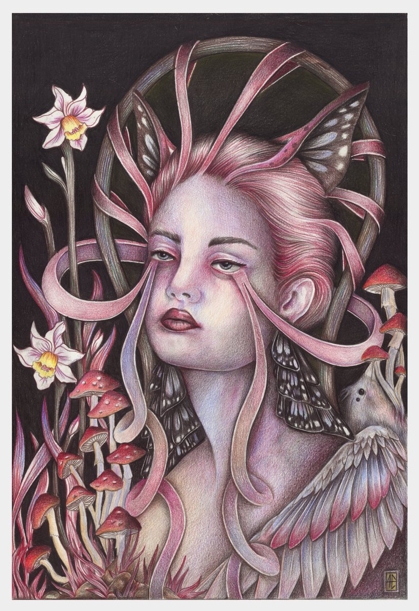 Worth 🃏 tweet media