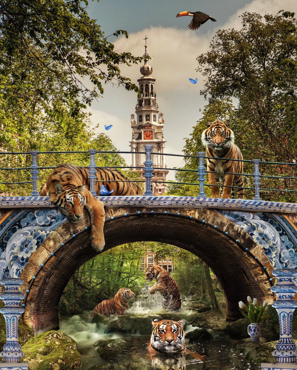 Marcel van Luit tweet media