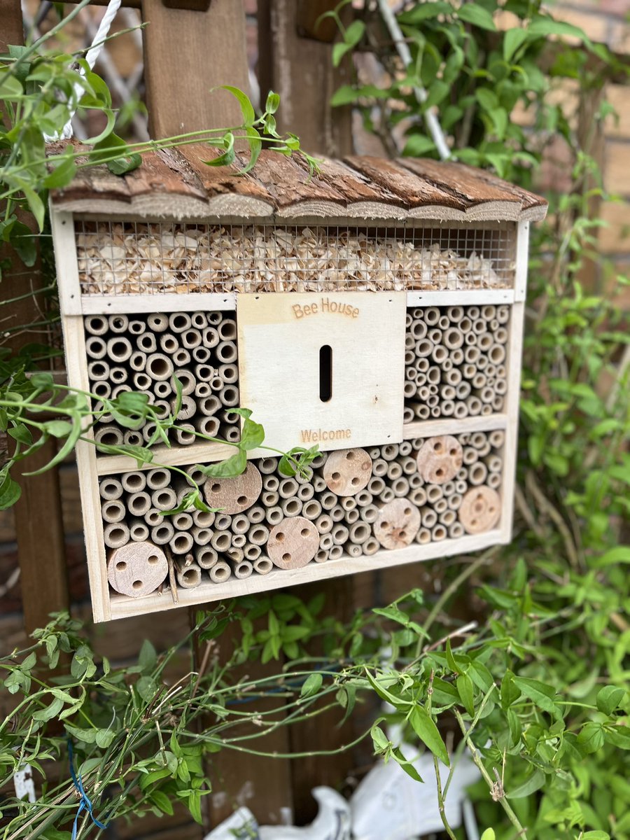 I’ve never had one of these till today #beehotel #insecthotel #bees