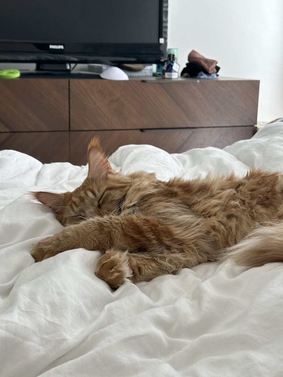 Cami Strella on Twitter: “Same tbh”