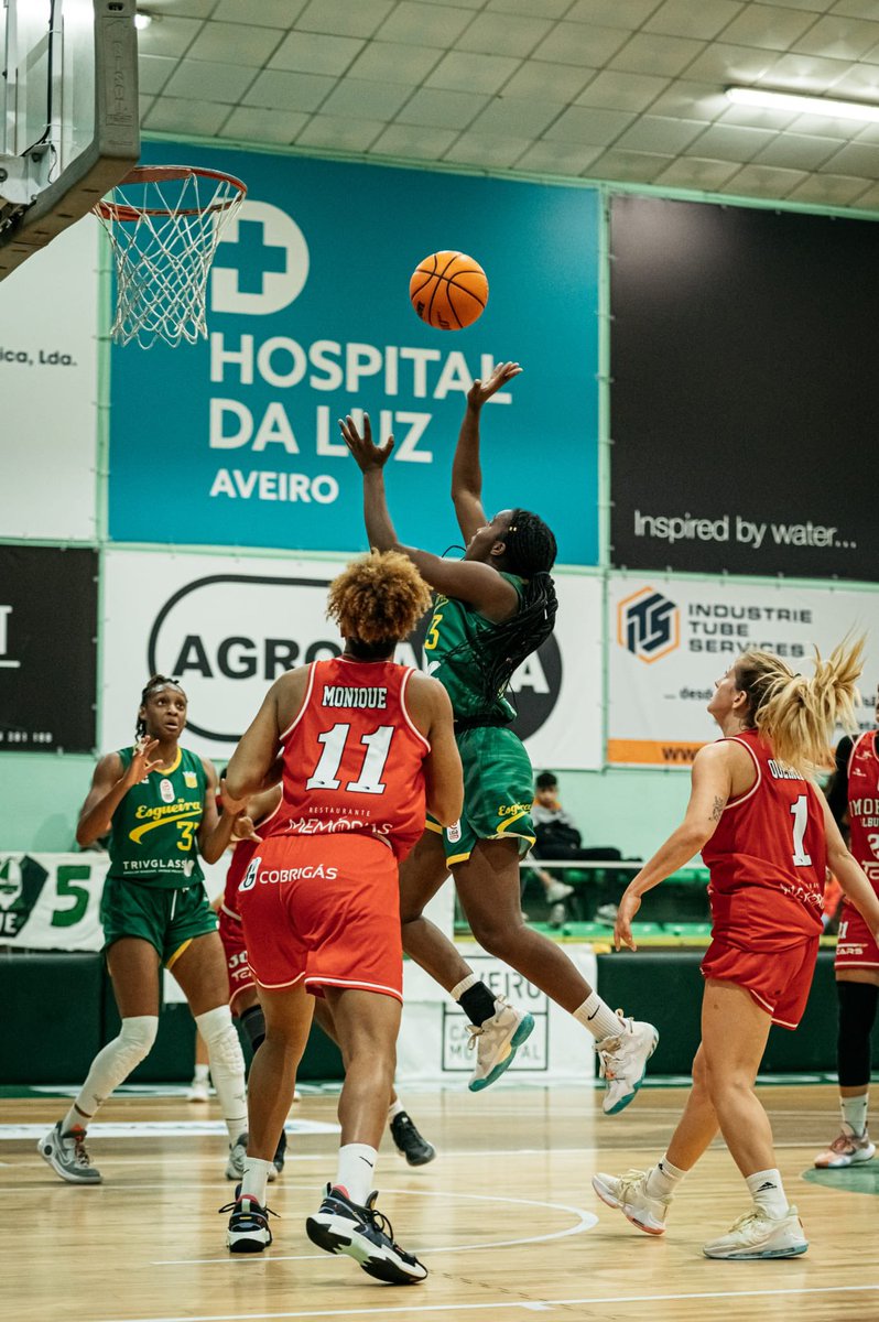 passionhoops tweet media