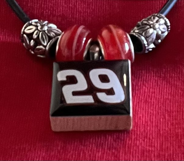 DoreenLightner's tweet photo. @DeLanaHarvick Rocking my #29 gear today! #onelasttime #29LetsRide #gopopsgo #4EVER https://t.co/rlaeZFHRcG