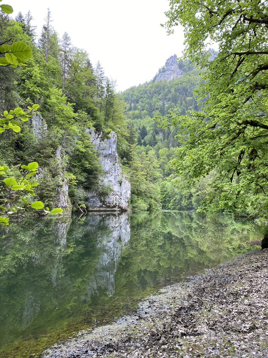 ResOpp's tweet image. Fantastische Zweitagestour „au fil du Doubs“. Unterwegs an der absoluten Peripherie der Schweiz oder Entschleunigen im Urwald. #jura #doubs #route95 @SchweizMobil