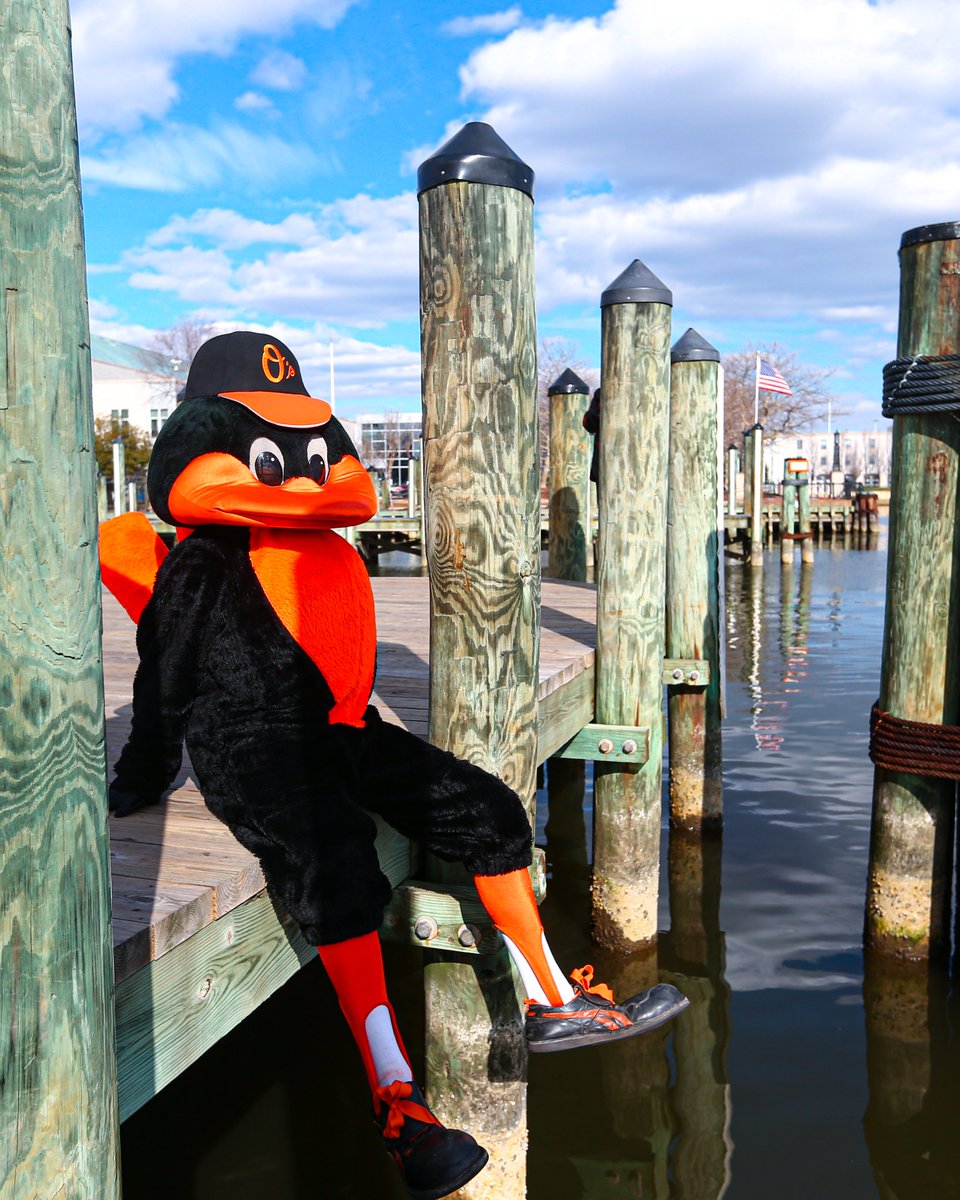 As I walked, I reflected, knowing that there is no better Bird out there.