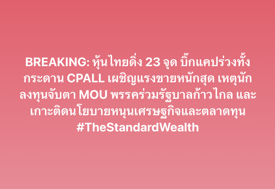 THE STANDARD WEALTH tweet media