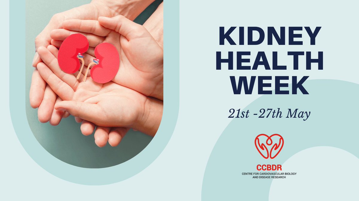 LaTrobe_CVR's tweet photo. "It's more than a wee problem" this week is #KidneyHealthWeek

Fact: 1.8 million Aussies don't know they have #kidneydisease. Diagnose and treat kidney disease early to slow progression by up to 15 years! https://t.co/YM9ThhdIg7
